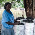 Loan Christine Funds for a Wood Cutter Machine