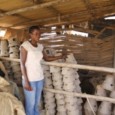 Empower Joan to Sell More Clay Wood Stoves